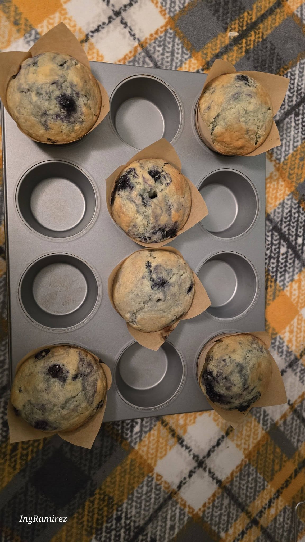Moody Blue Muffins