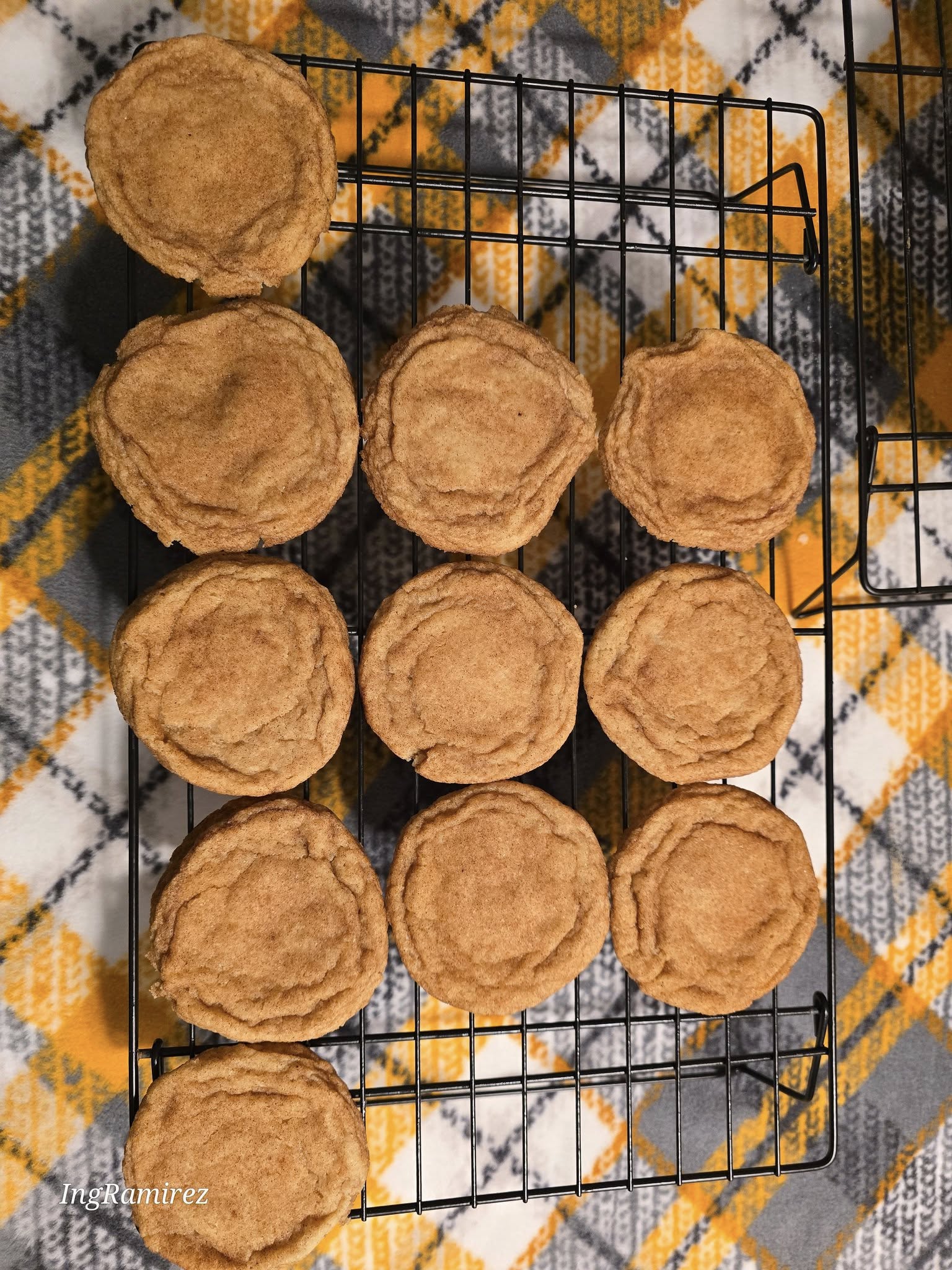 Snickerdoodle Cookies
